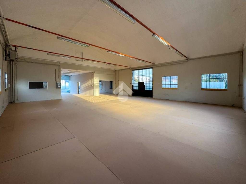 immagine annuncio 7 di 14