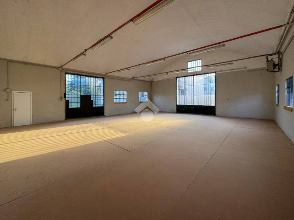 immagine annuncio 8 di 14