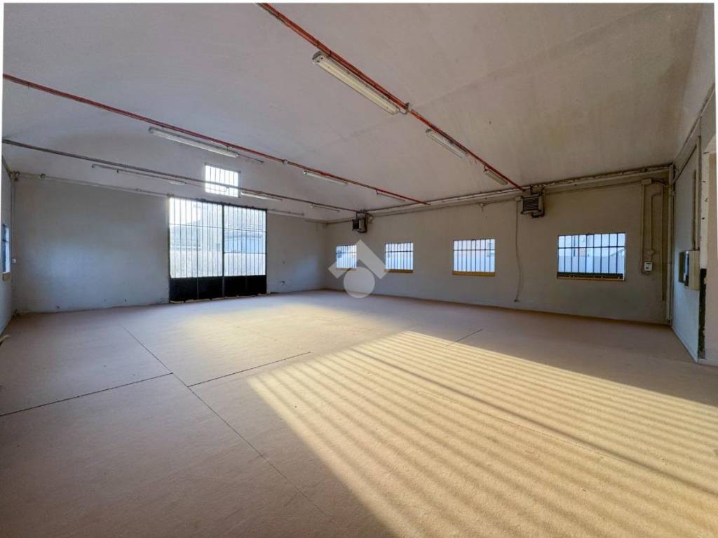 immagine annuncio 9 di 14