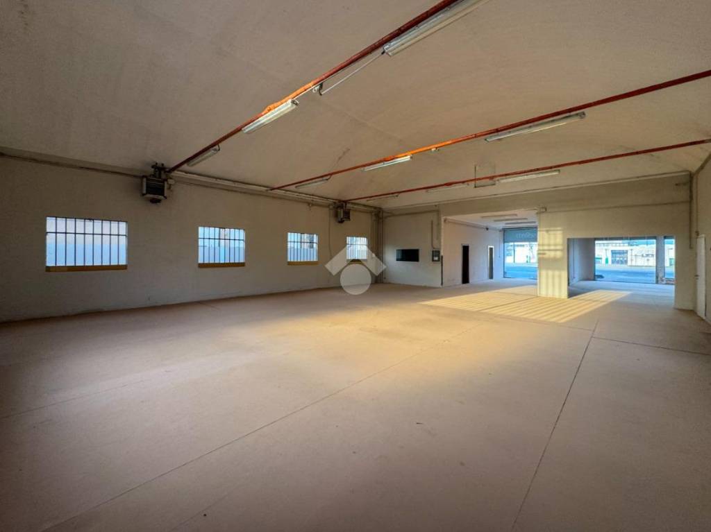 immagine annuncio 10 di 14