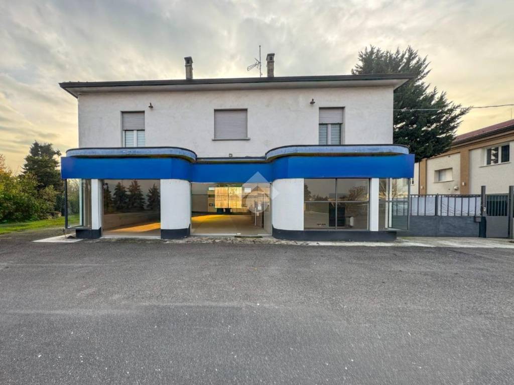 immagine annuncio 11 di 14