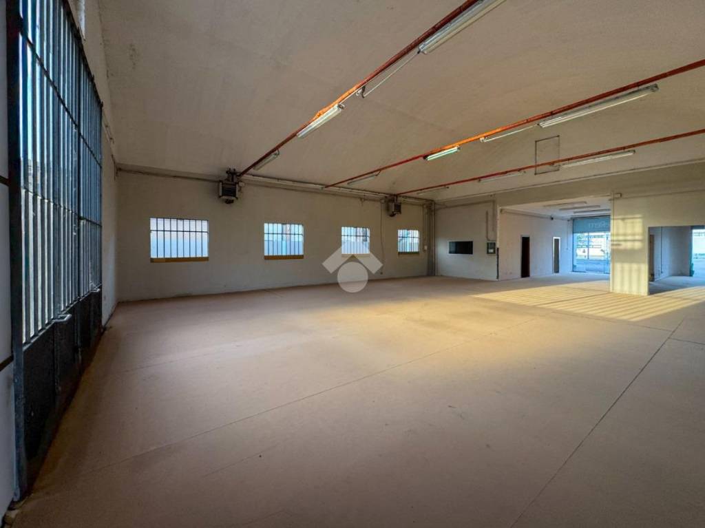 immagine annuncio 13 di 14