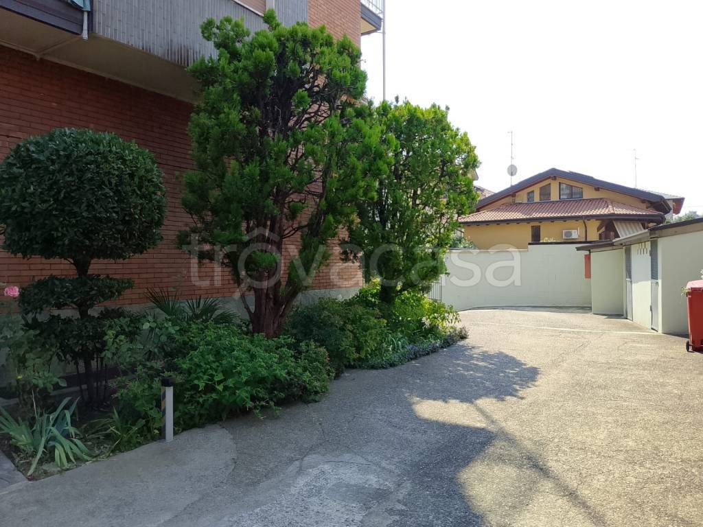 immagine annuncio 7 di 15