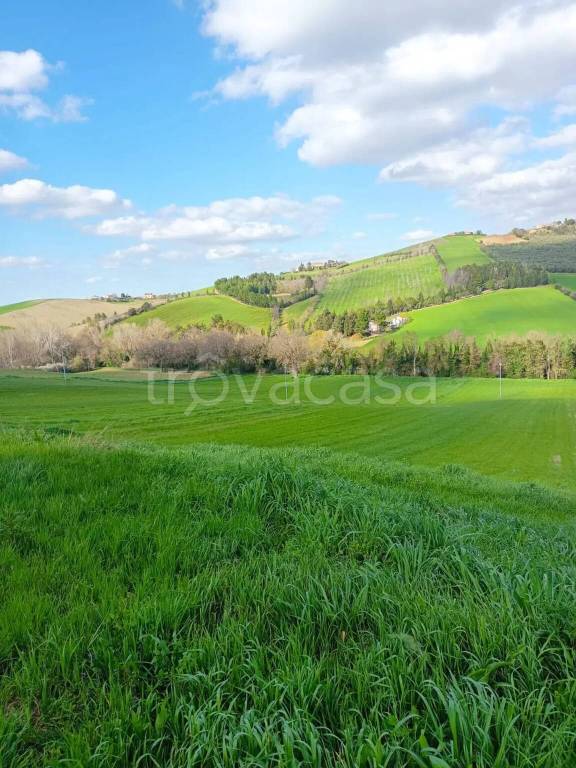 immagine annuncio 3 di 7