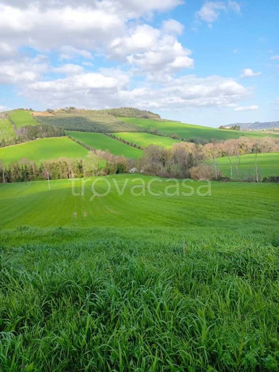 immagine annuncio 4 di 7