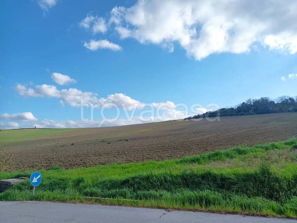 immagine annuncio 6 di 7