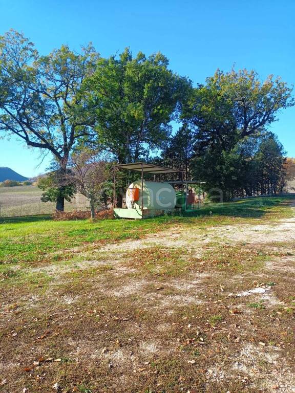 immagine annuncio 6 di 14