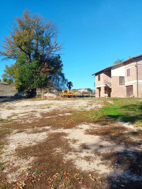 immagine annuncio 7 di 14