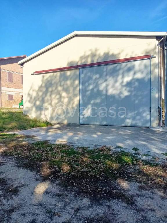 immagine annuncio 9 di 14