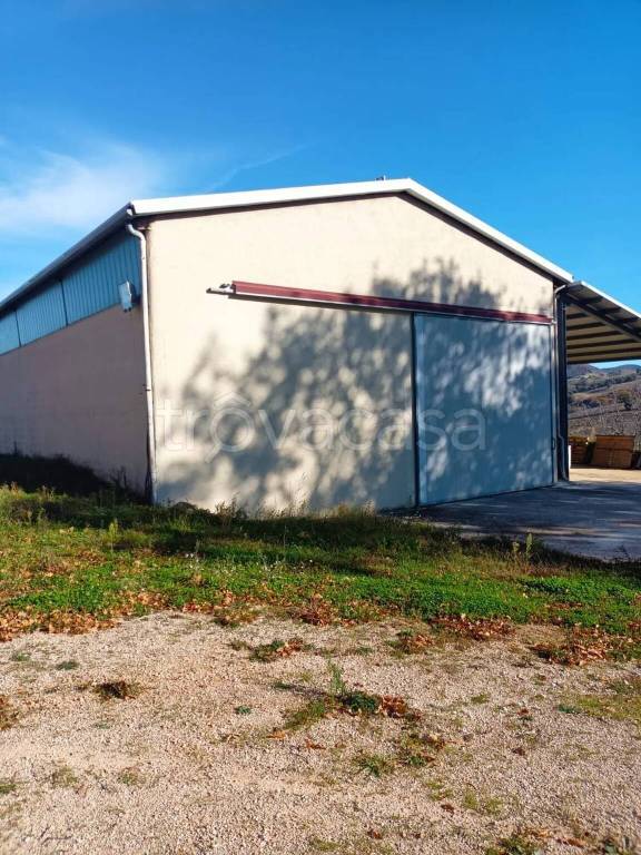 immagine annuncio 11 di 14