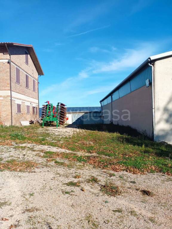 immagine annuncio 12 di 14