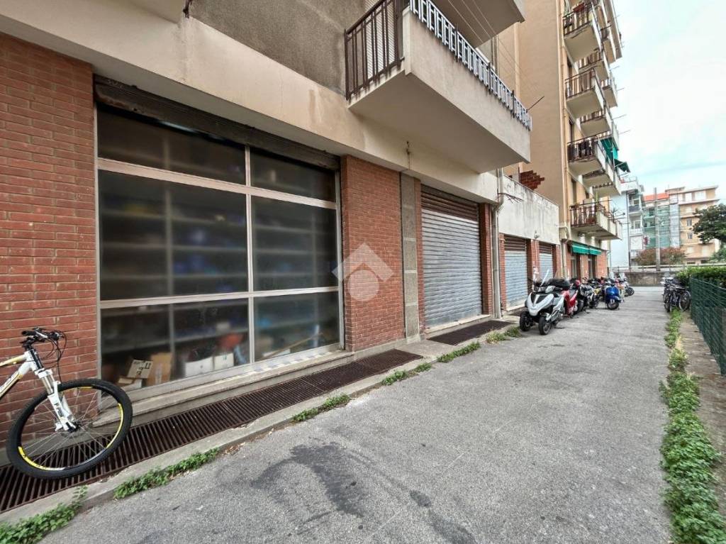 immagine annuncio 1 di 6