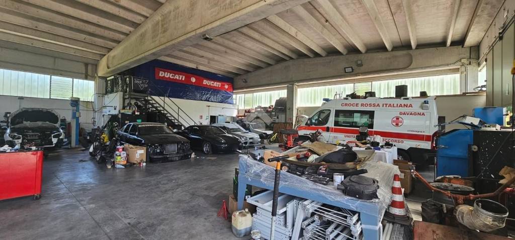 immagine annuncio 12 di 15