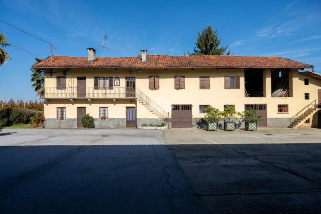 immagine annuncio 11 di 13