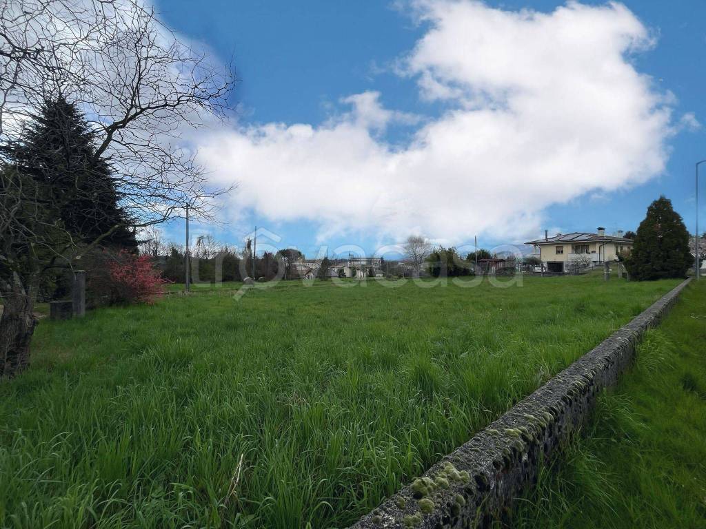 immagine annuncio 1 di 7