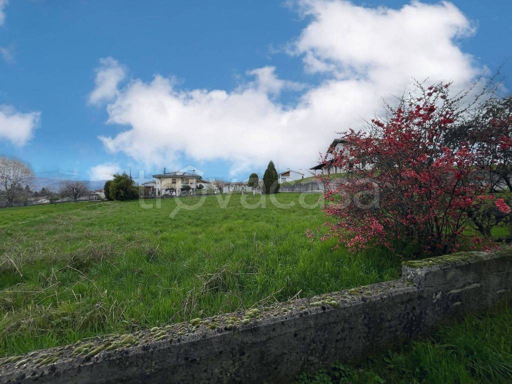 immagine annuncio 3 di 7