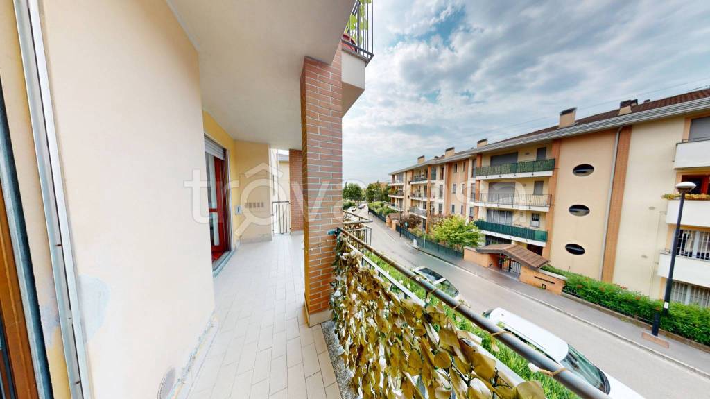 immagine annuncio 9 di 13