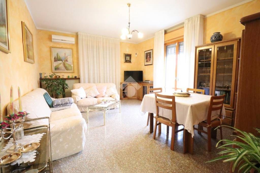 immagine annuncio 3 di 13