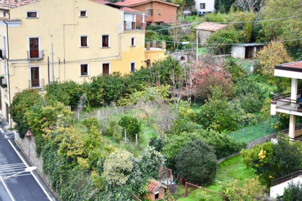 immagine annuncio 3 di 6