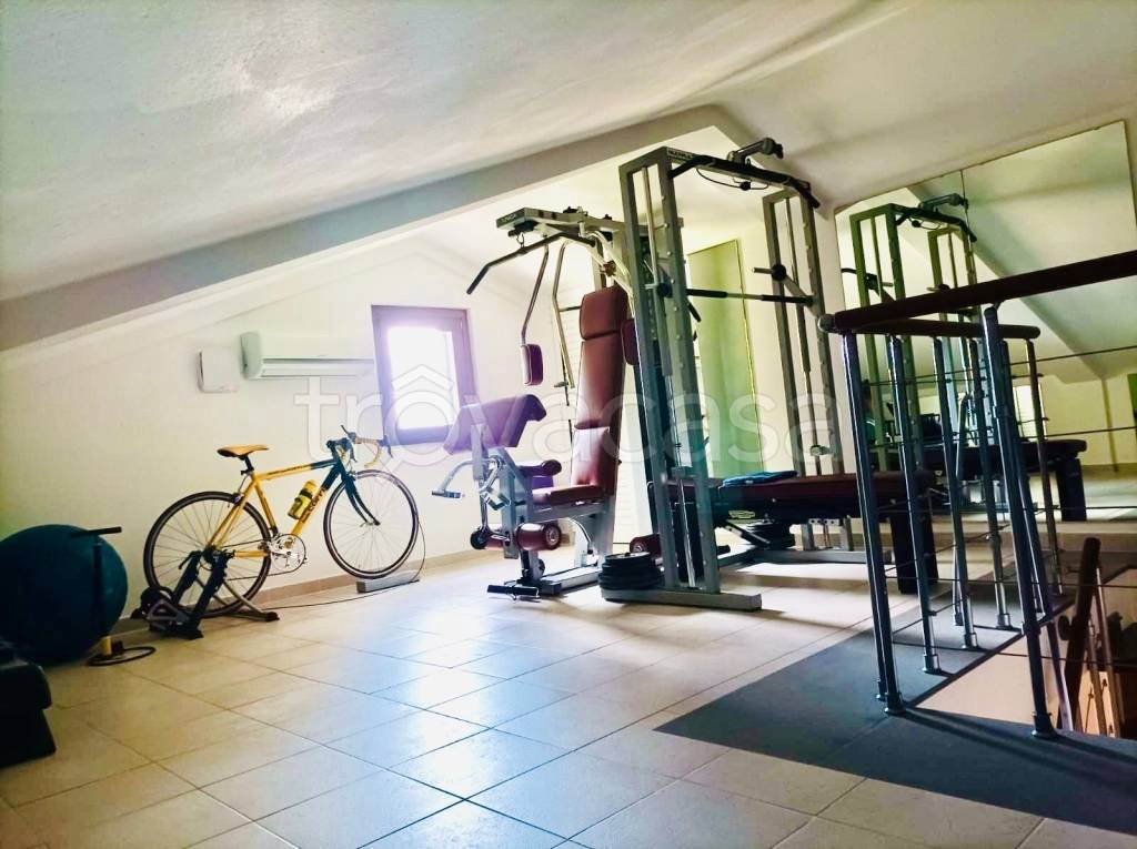 immagine annuncio 6 di 14