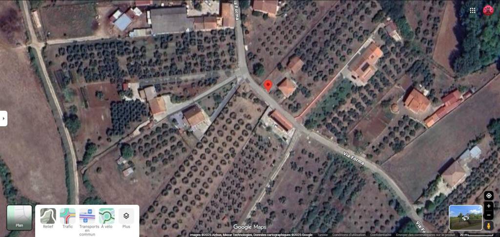 immagine annuncio 10 di 12