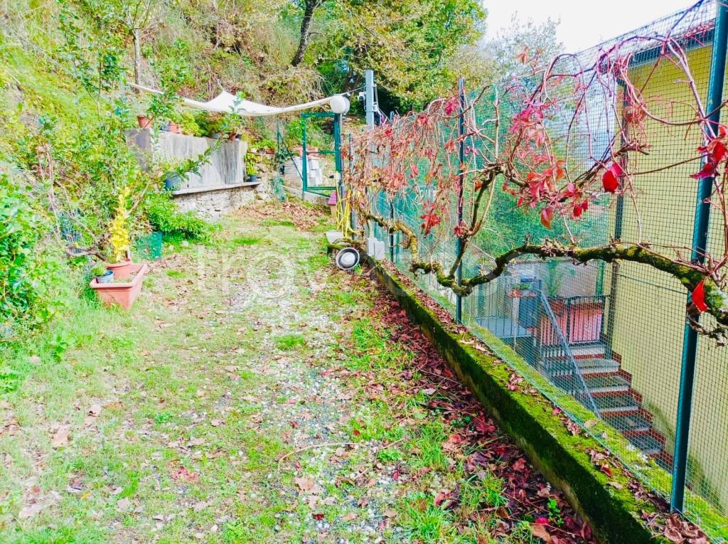 immagine annuncio 12 di 14