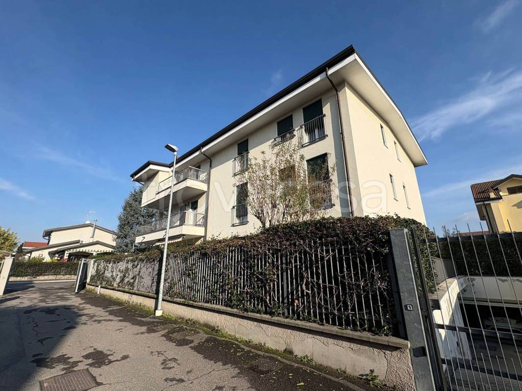 immagine annuncio 5 di 15