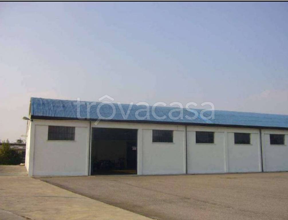 immagine annuncio 2 di 12