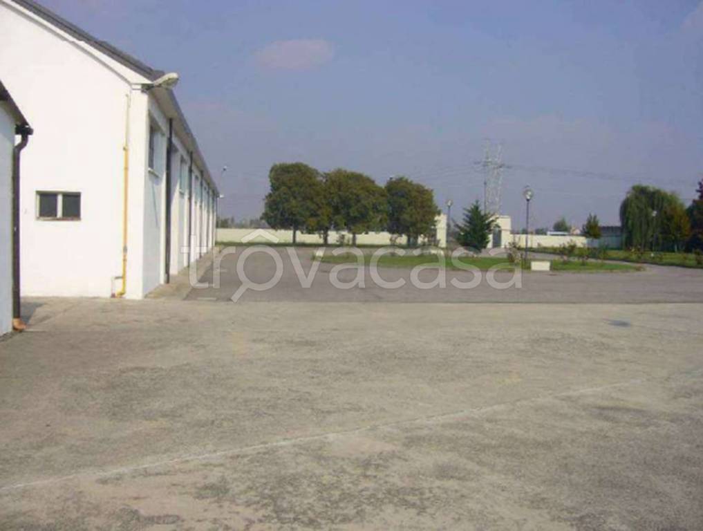 immagine annuncio 4 di 12