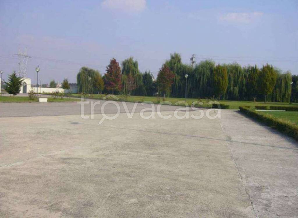 immagine annuncio 5 di 12