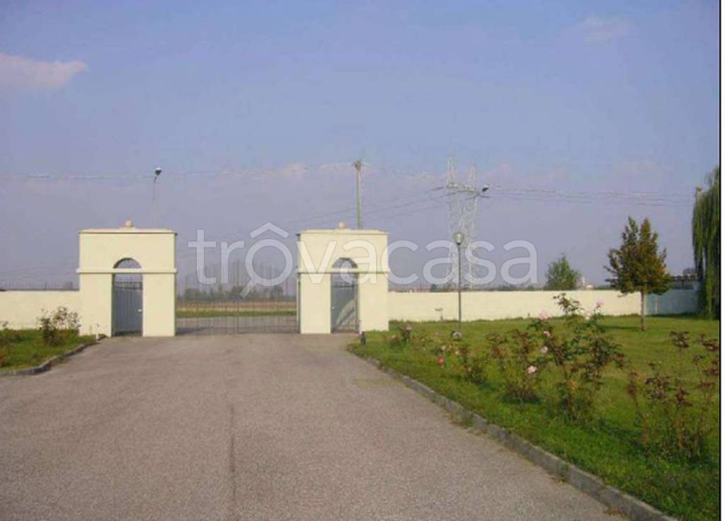 immagine annuncio 6 di 12