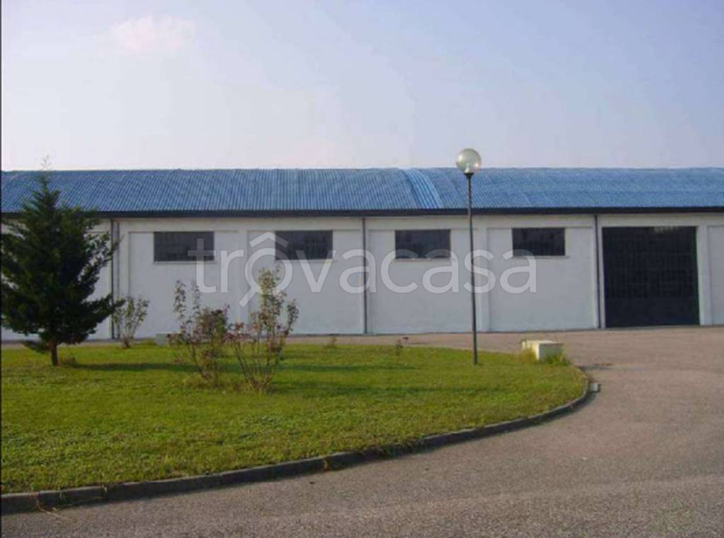 immagine annuncio 9 di 12