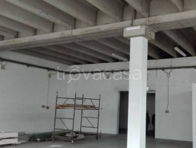 immagine annuncio 4 di 6