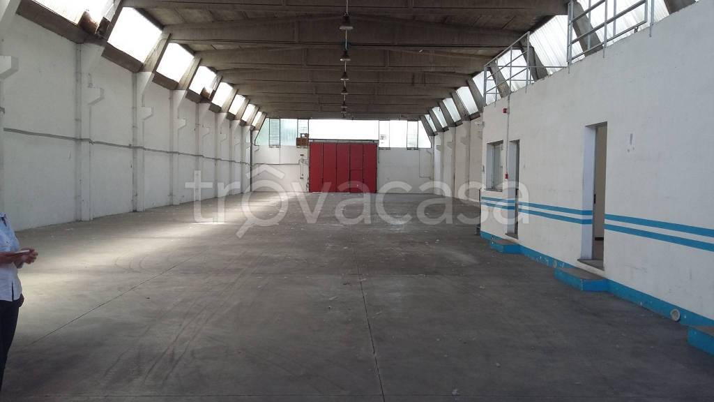 immagine annuncio 4 di 12