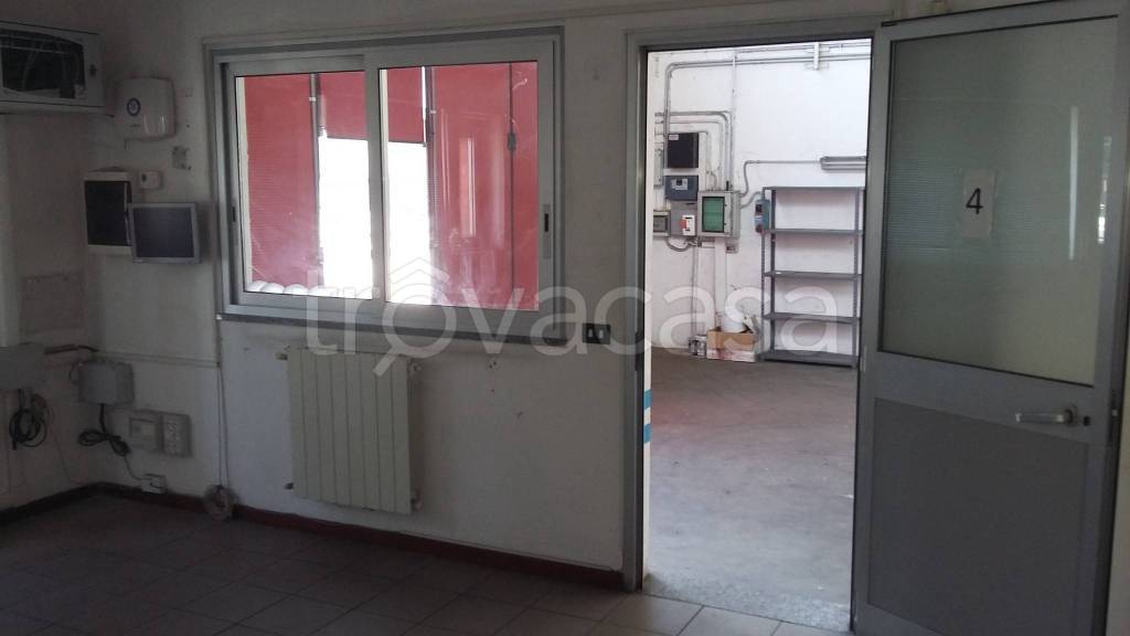 immagine annuncio 5 di 12