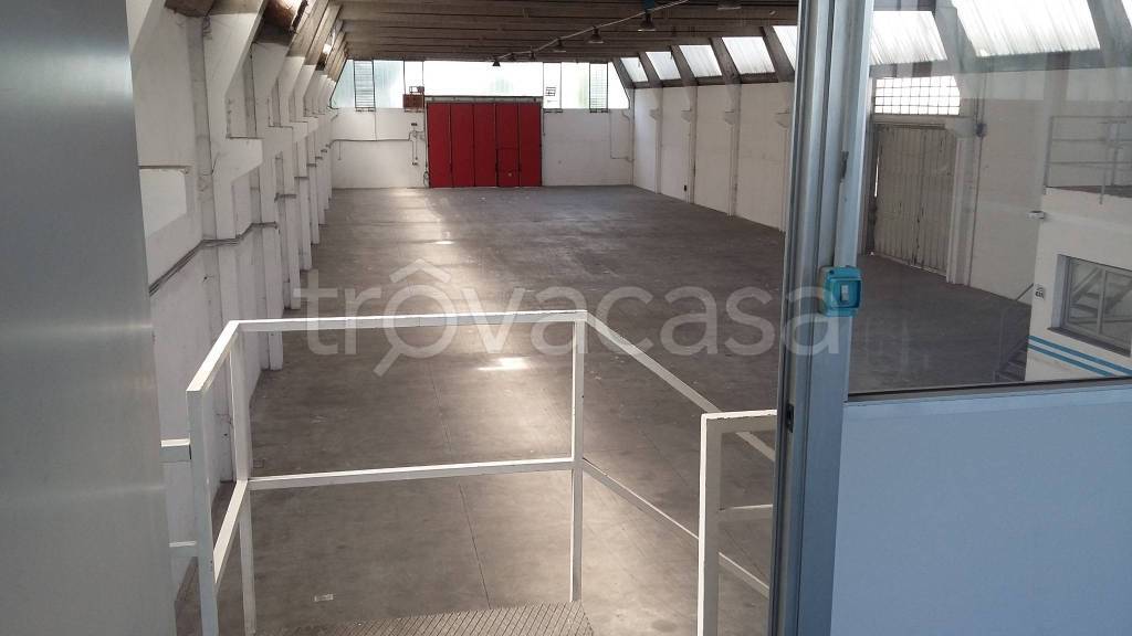 immagine annuncio 6 di 12