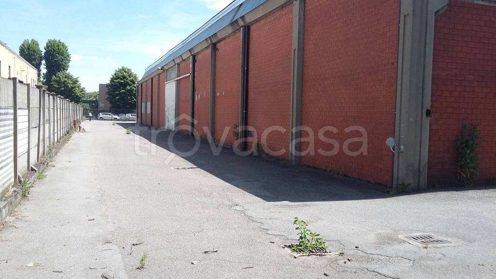 immagine annuncio 7 di 12