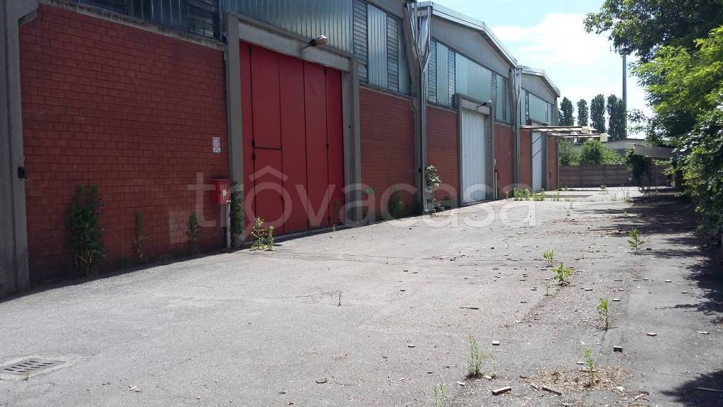 immagine annuncio 10 di 12