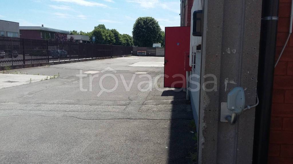 immagine annuncio 11 di 12