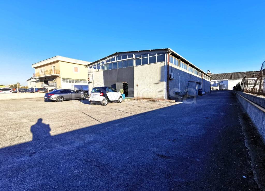 immagine annuncio 1 di 12