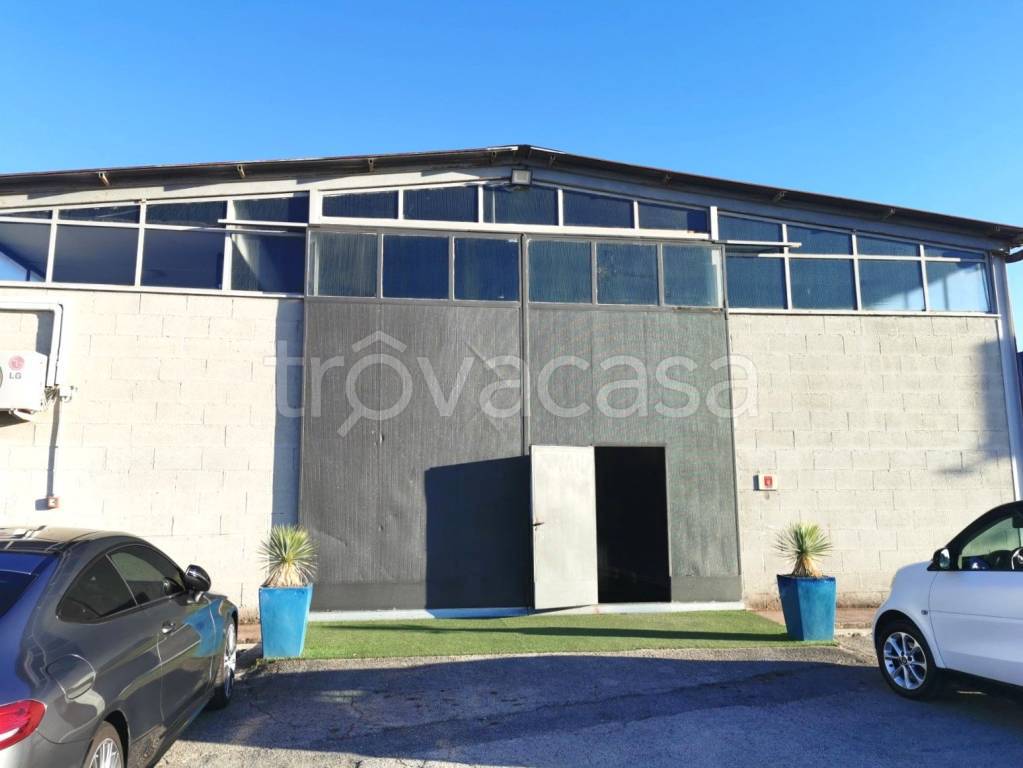 immagine annuncio 2 di 12