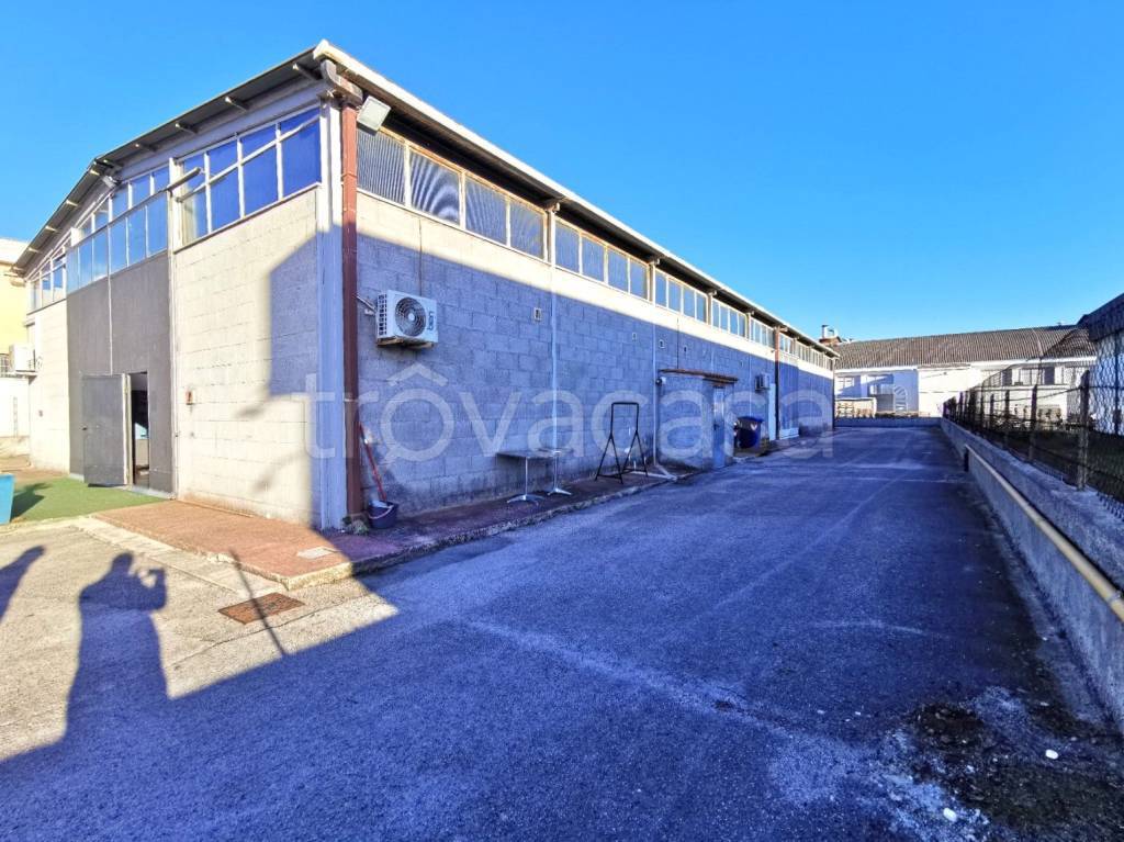 immagine annuncio 3 di 12