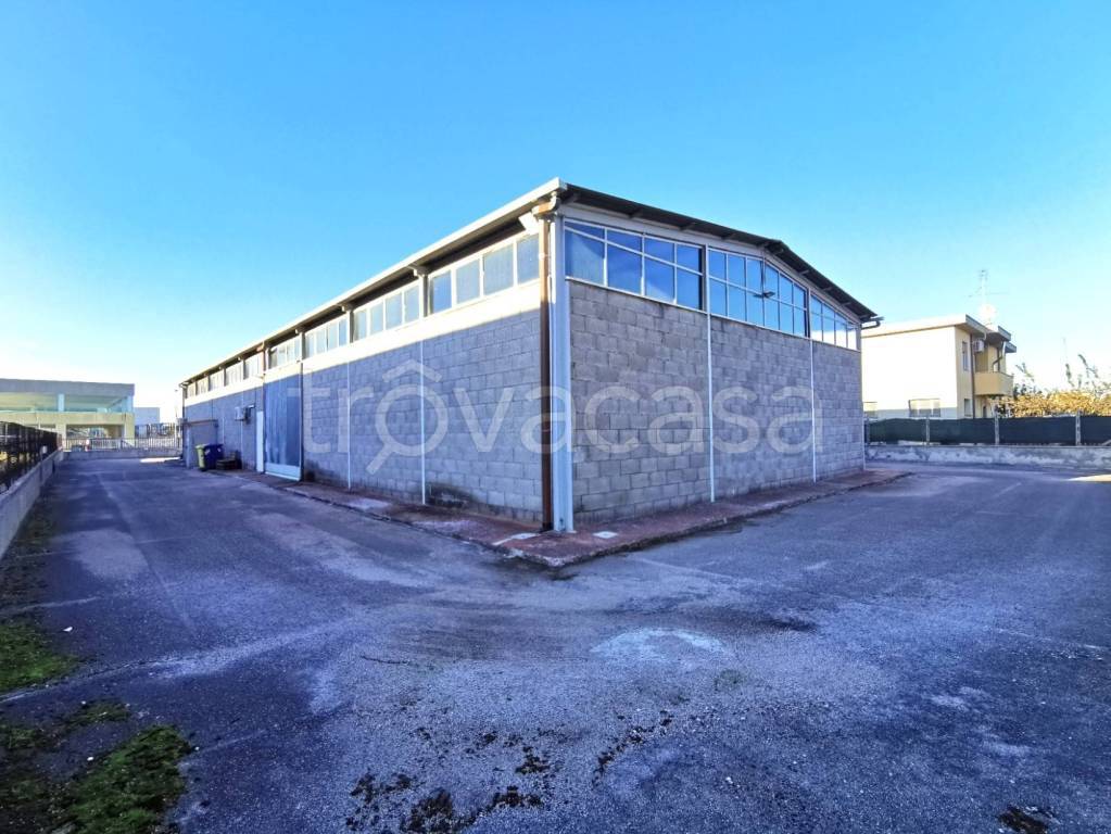 immagine annuncio 4 di 12