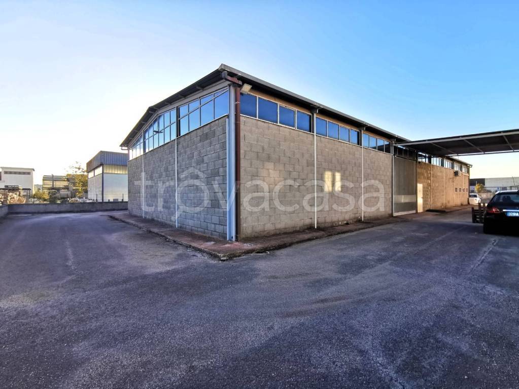 immagine annuncio 5 di 12