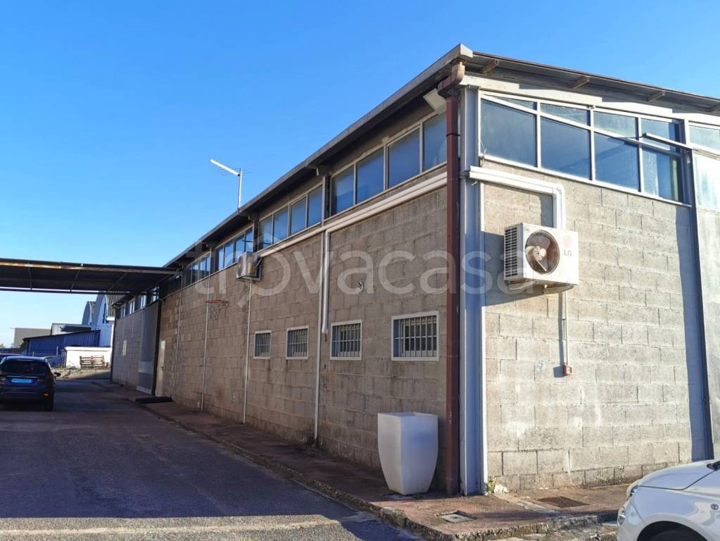 immagine annuncio 6 di 12