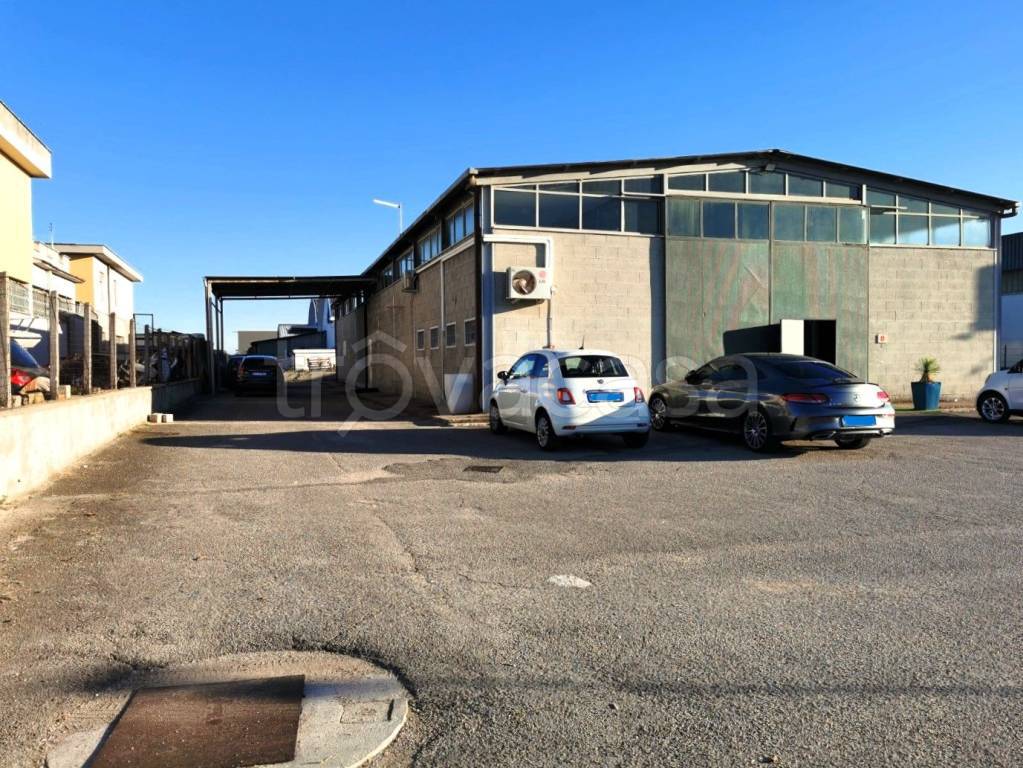 immagine annuncio 7 di 12