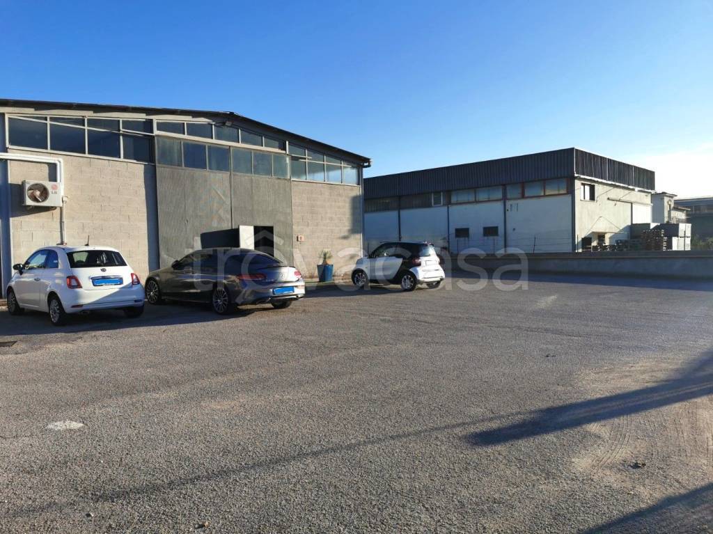 immagine annuncio 8 di 12