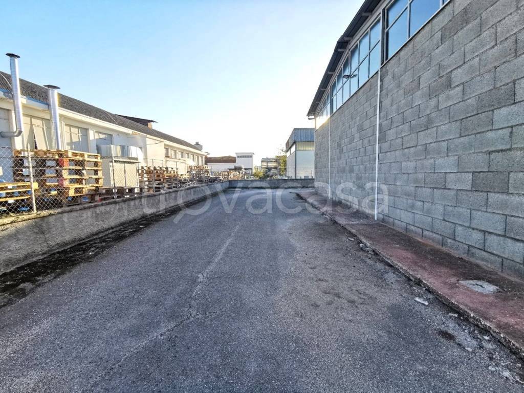 immagine annuncio 9 di 12