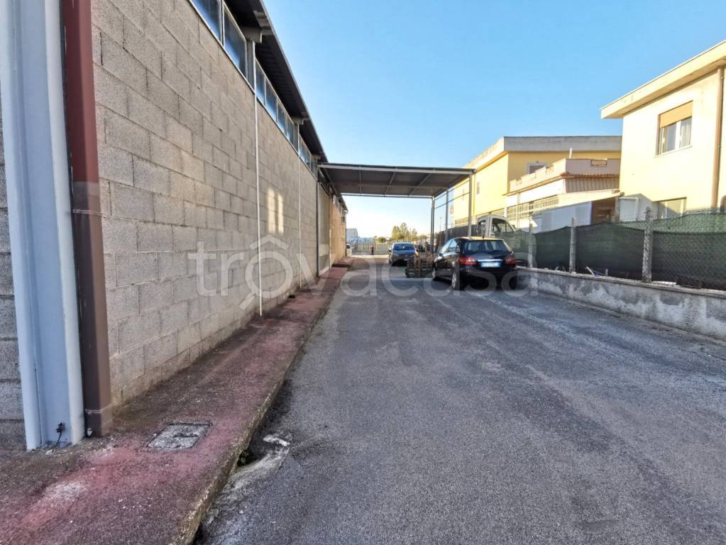 immagine annuncio 10 di 12