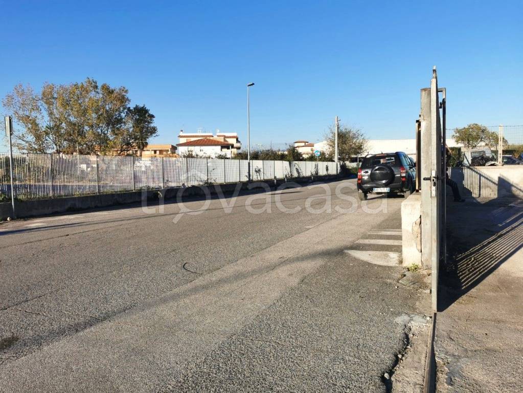 immagine annuncio 11 di 12